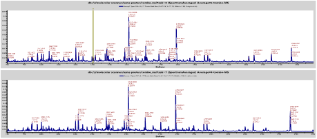 Spectrum on display of the website