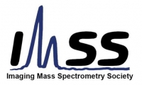 IMSS Logo on display of the website