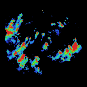 Mouse Obese Insulin Zoom in X ray